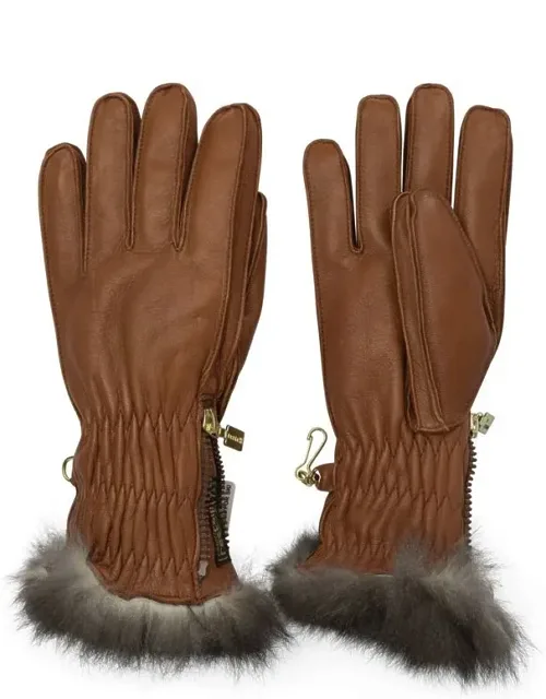 Ski Gloves