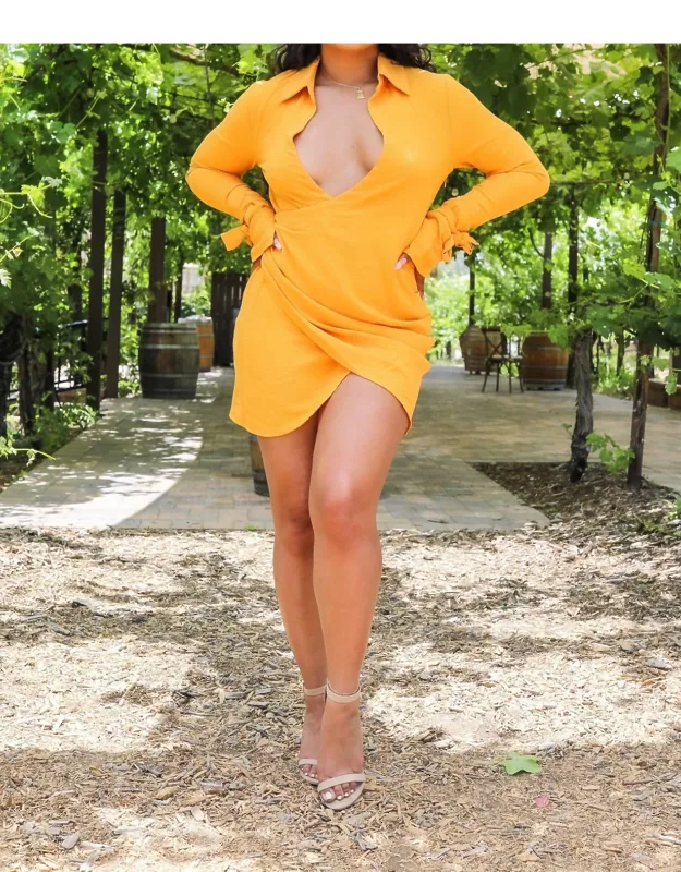 Deep V Neckline Wrap Mini Dress