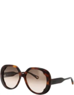 Sunglasses Brown