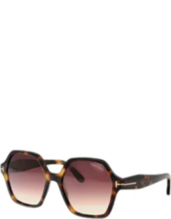 Sunglasses Brown