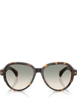 Moncler Sunglasses Aviator Acetate Italy