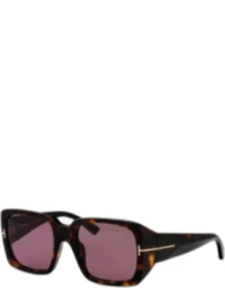 Sunglasses Brown