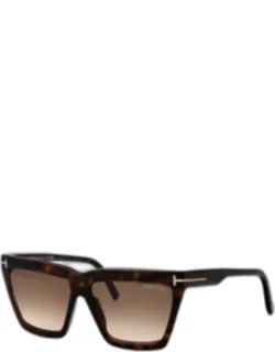 Sunglasses Brown