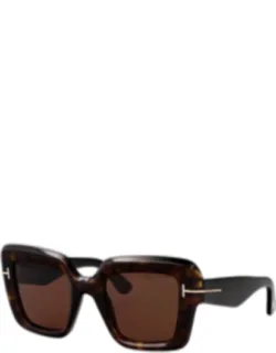 Sunglasses Brown