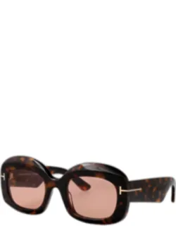 Sunglasses Brown