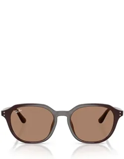 Ray-ban Sunglasses Rb4459d 623173 Opal Brown Acetate Italy