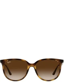 Ray-ban Sunglasses 710/13 Acetate