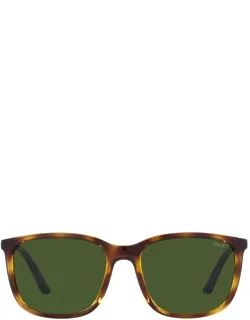Polo Ralph Lauren Squarish Acetate Italy