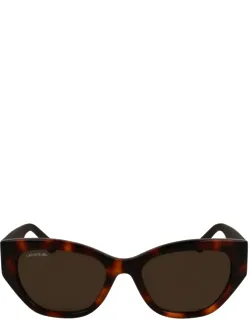 Lacoste Sunglasses Acetate Italy
