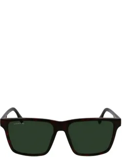 Lacoste Sunglasses Squarish Acetate