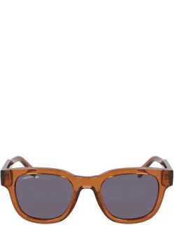 Lacoste Sunglasses Acetate Italy