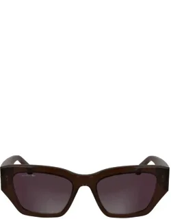 Lacoste Sunglasses Cat-eye Acetate Italy