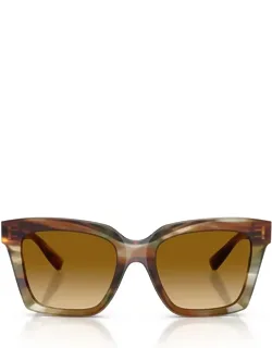 Dolce & Gabbana Eyewear Sunglasses - Squarish Acetate, Striped Ochre
