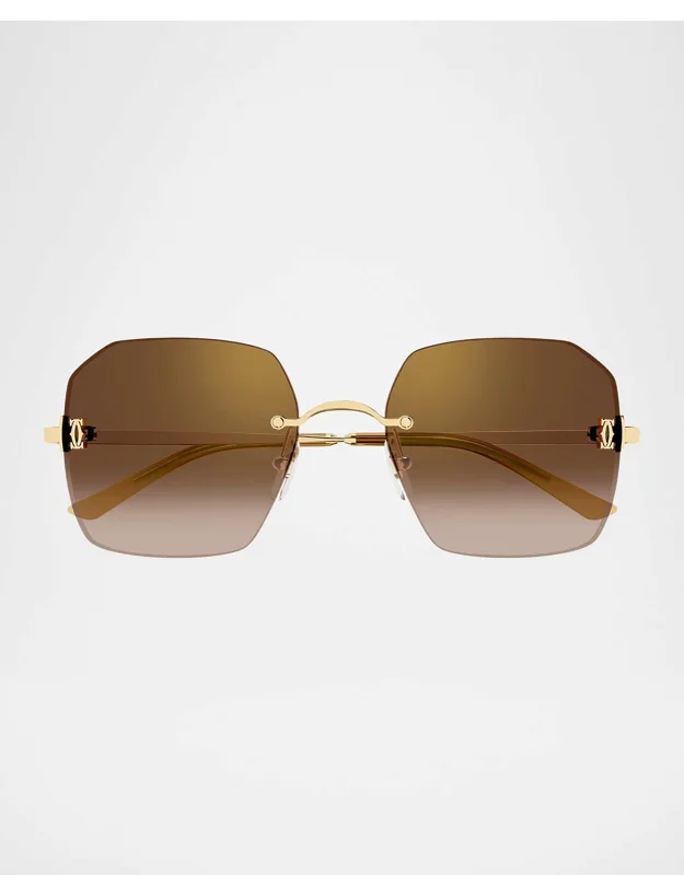 Rectangular Metal Sunglasses