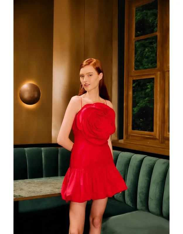 Balloon Mini Dress