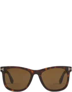 Kevyn Sunglasses
