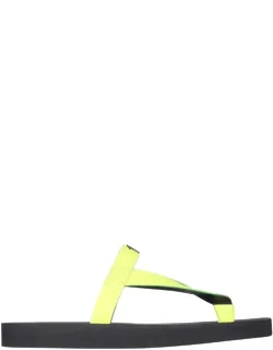 Hydra Slide Sandals