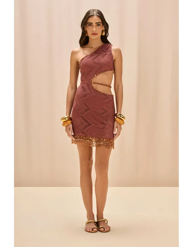 Mesh Mini Dress