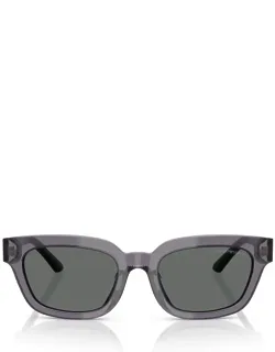 Emporio Armani Sunglasses Acetate Italy