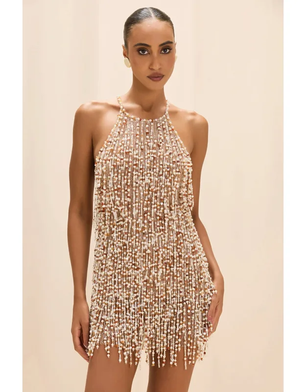 Pearl Dust Embroidery Mini Dress