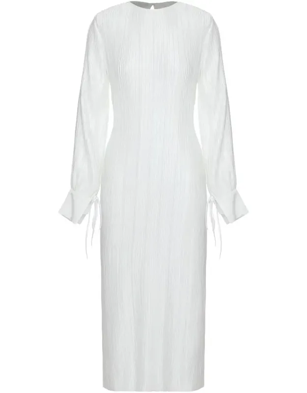 Long Pleated Dress