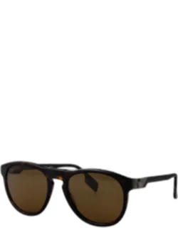 Sunglasses Brown