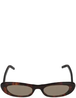 Sunglasses Sl 557 Shade 008 Havana Brown 53/20/145