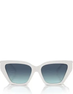 Tiffany & Co. Sunglasses With Acetate And Italy