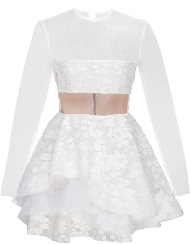 Aubrey Bandeau Floral Lace Mini Dress.