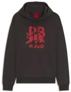 Bull-graphic Hoodie In Cotton Terry