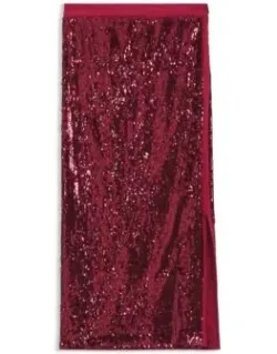 Sequin-embellished Skirt With Lustrous Inserts