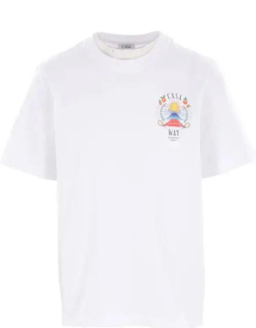 T-shirt And Polo