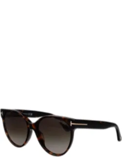 Sunglasses Brown