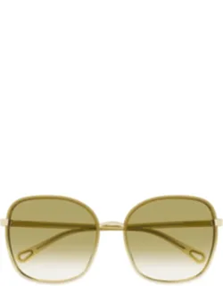 Chloé Square Acetate Sunglasses