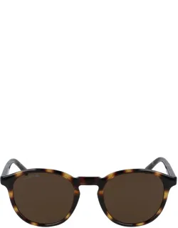 Lacoste Sunglasses Acetate Italy