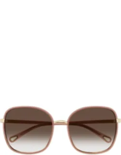 Chloé Square Acetate Sunglasses