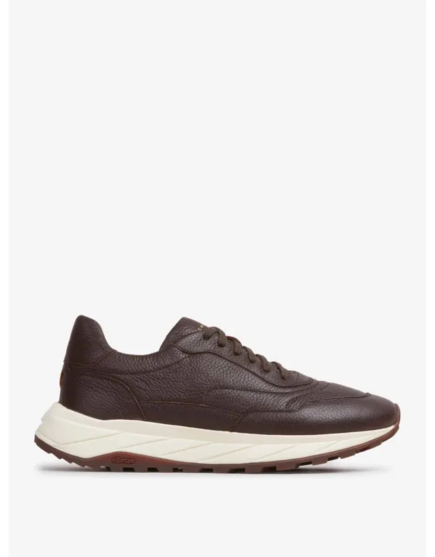 Sneakers Shark