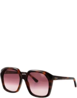 Sunglasses Color Cocoa