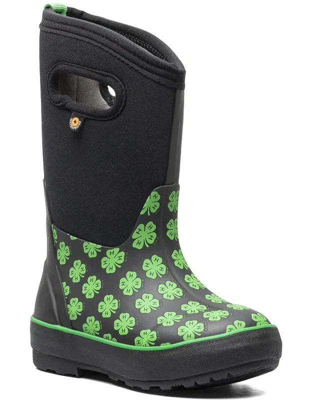 Classic Ii 4h Boot