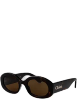 Sunglasses Brown