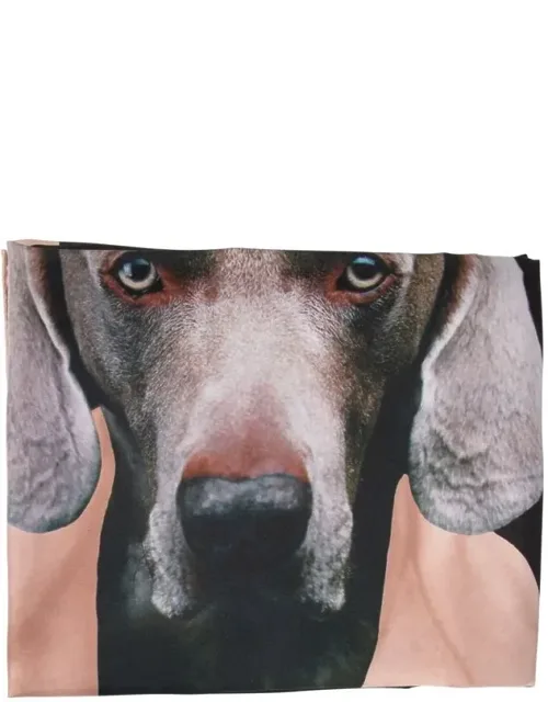 Printed Silk Scarf