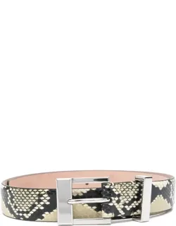 Belt