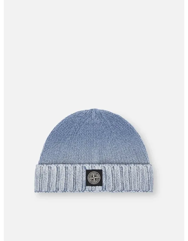 Compass Logo Beanie