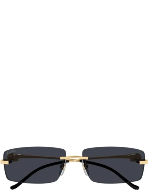 _panthÈre De Cartier Ct0430s-001 - 58mm-15mm-140mm_