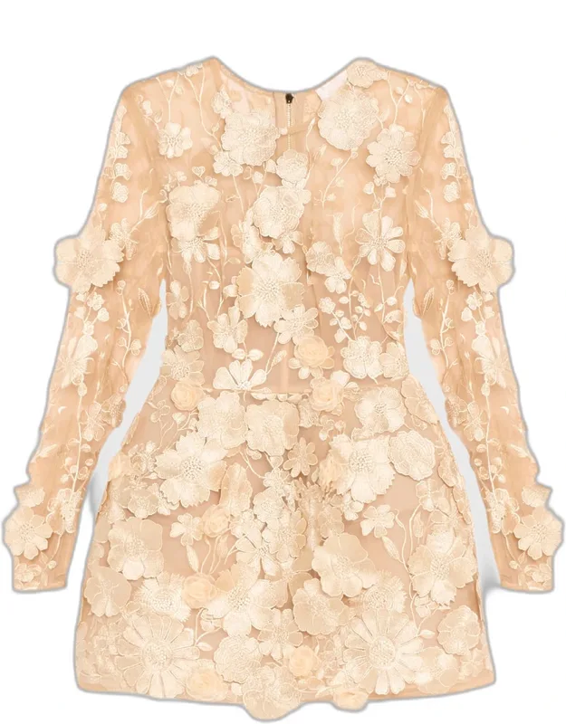 Bouquet Maraya Embroidered Illusion Mini Dress