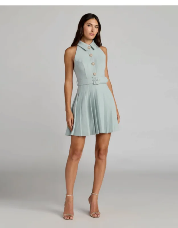 Pleated A Line Mini Dress With Pearl Button Detail