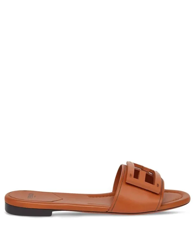 Slides