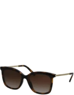 Zermatt Square Sunglasses