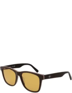 Acetate Sunglasses