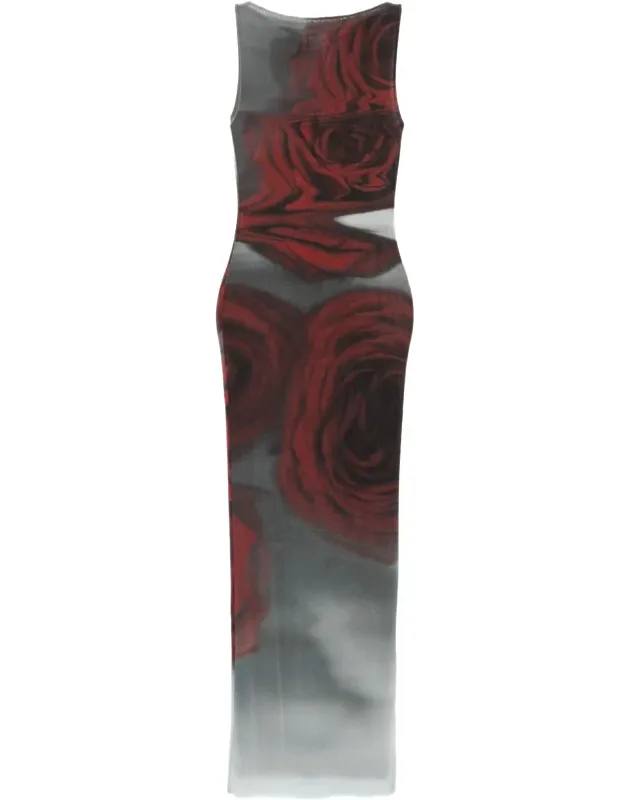 Blurry Roses Print Sleeveless Tulle Maxi Dress